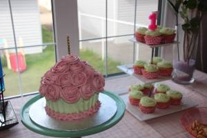 12006301_984786428210897_8017871763936982651_n